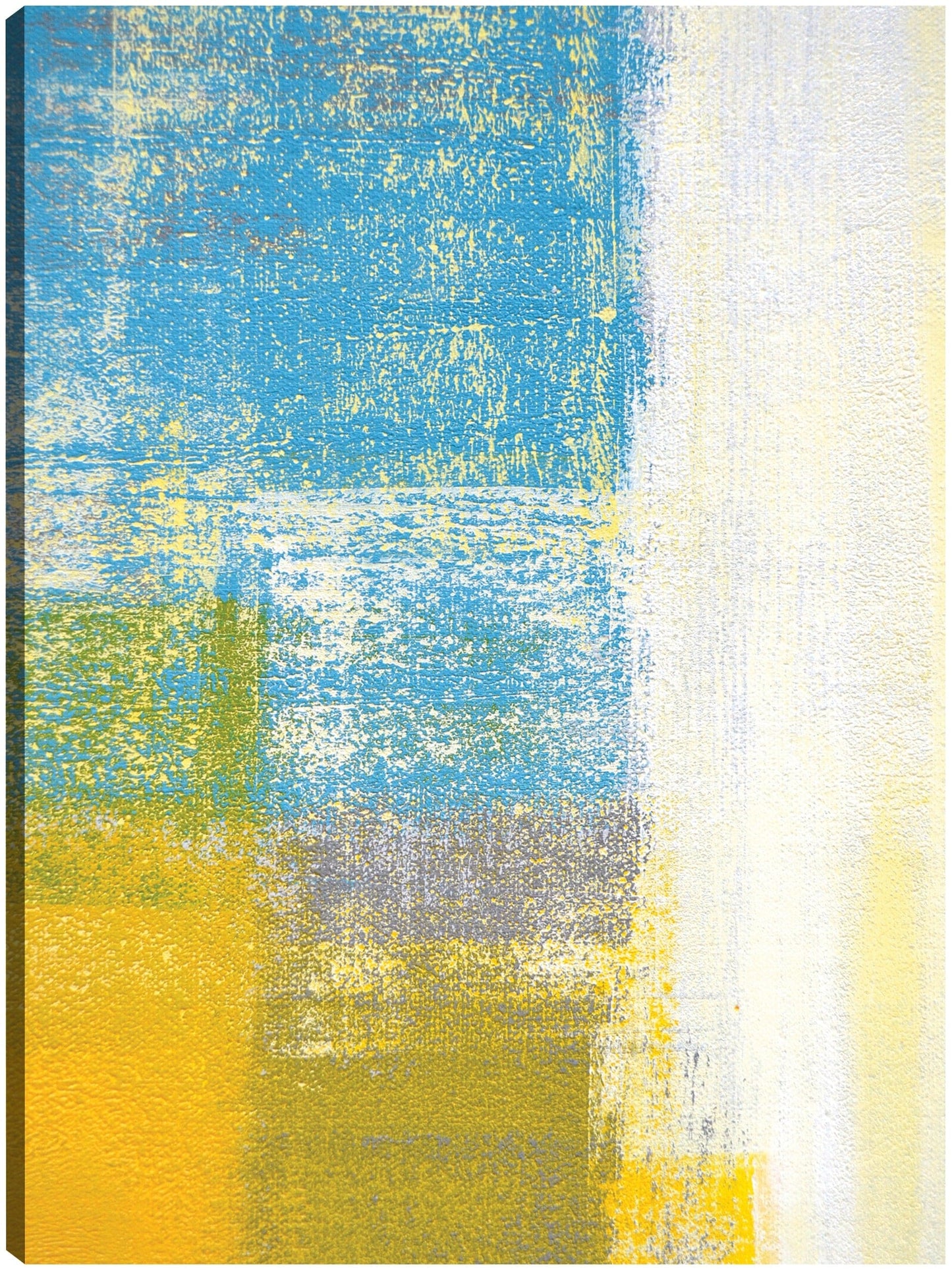 Congelación de arándanos - DP Gallery