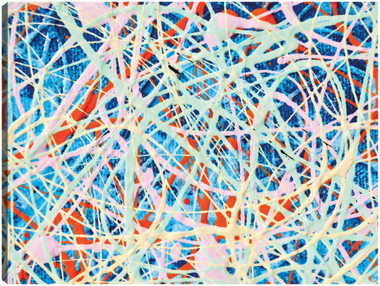 Cuerda tonta en la playa - DP Gallery