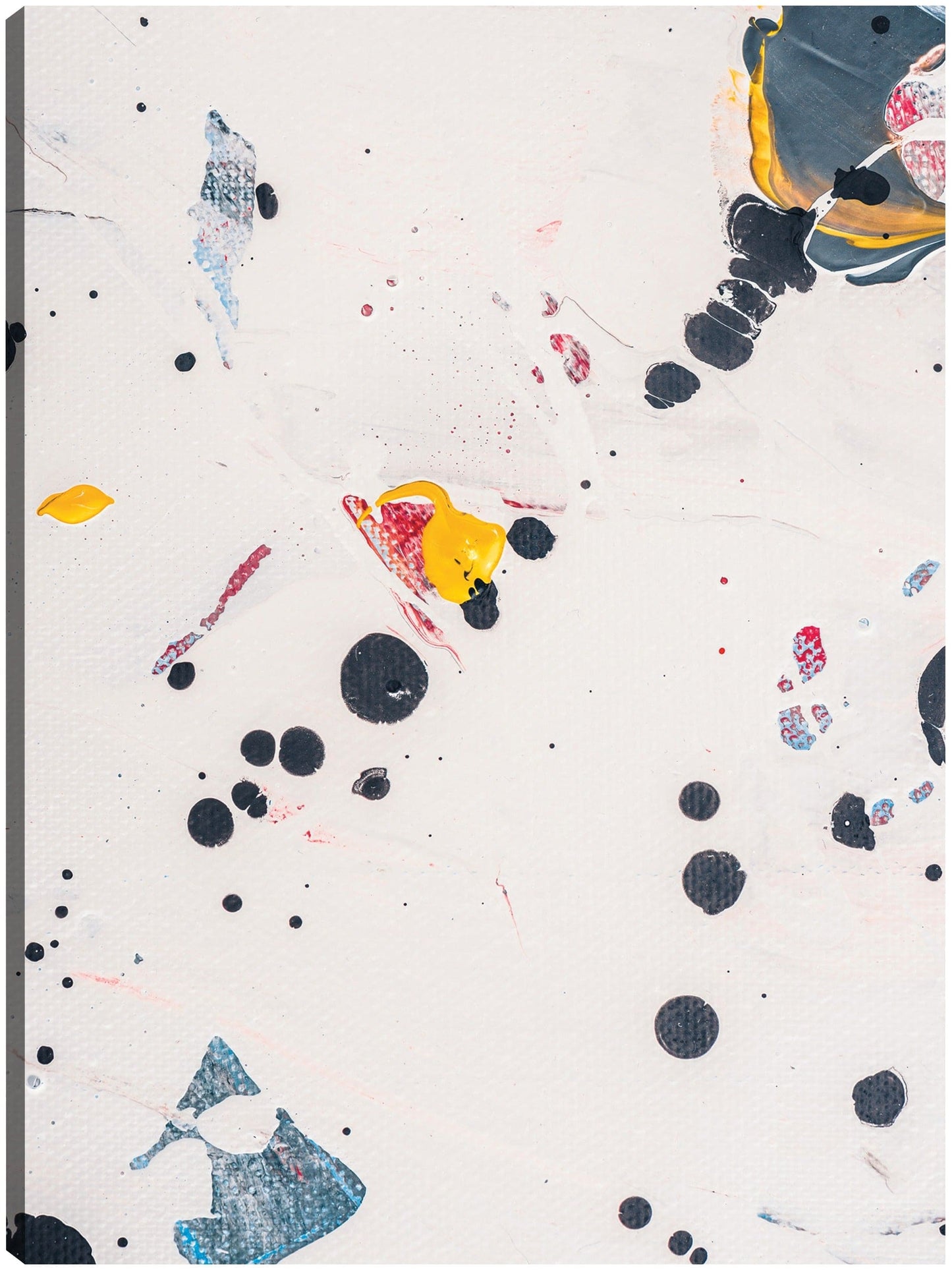 Sueños de dálmata - DP Gallery