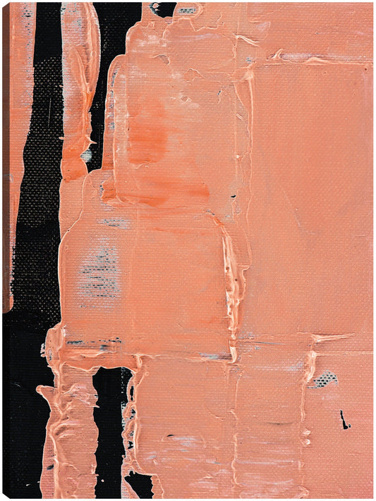 Coral ruborizado - DP Gallery