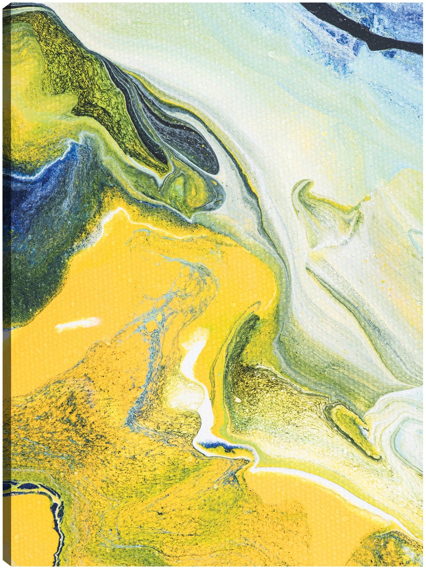 Libertad de limón - DP Gallery