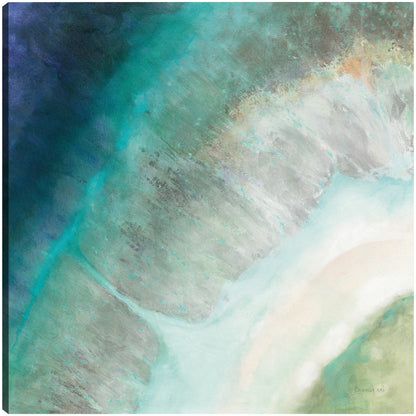 Diamante costero - Danhui Nai