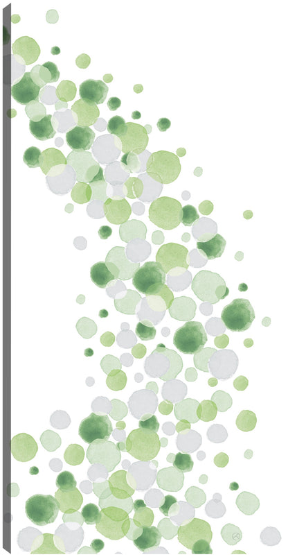 Resumen de puntos I - Elyse DeNeige