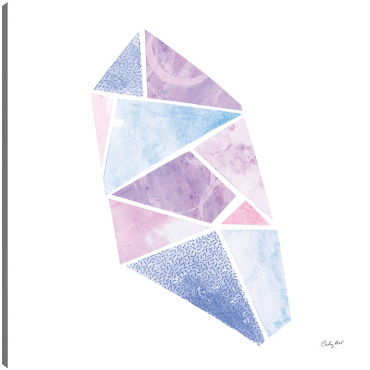 Brillo VII - Courtney Prahl