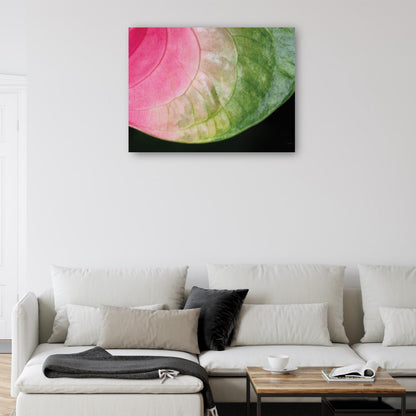 Rosa y verde - Aledanda