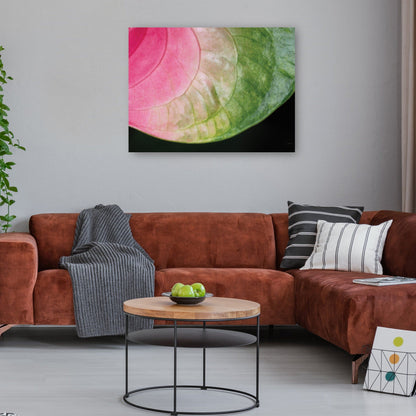 Rosa y verde - Aledanda