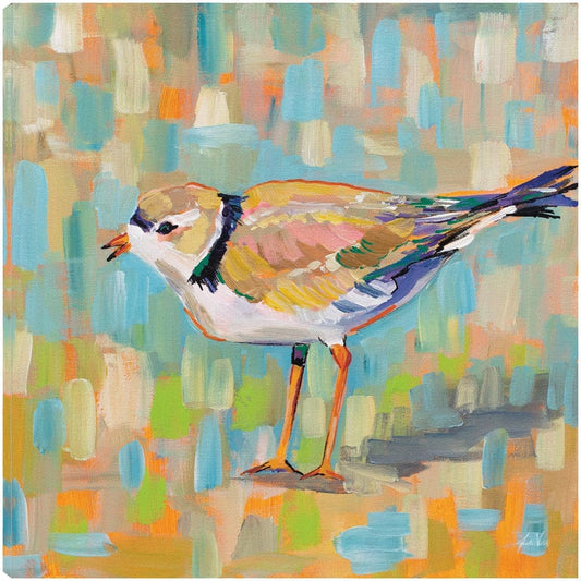 Chorlito Costero IV - Jeanette Vertentes