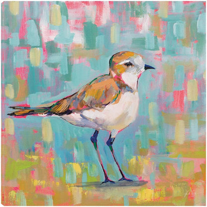 Chorlito Costero III - Jeanette Vertentes