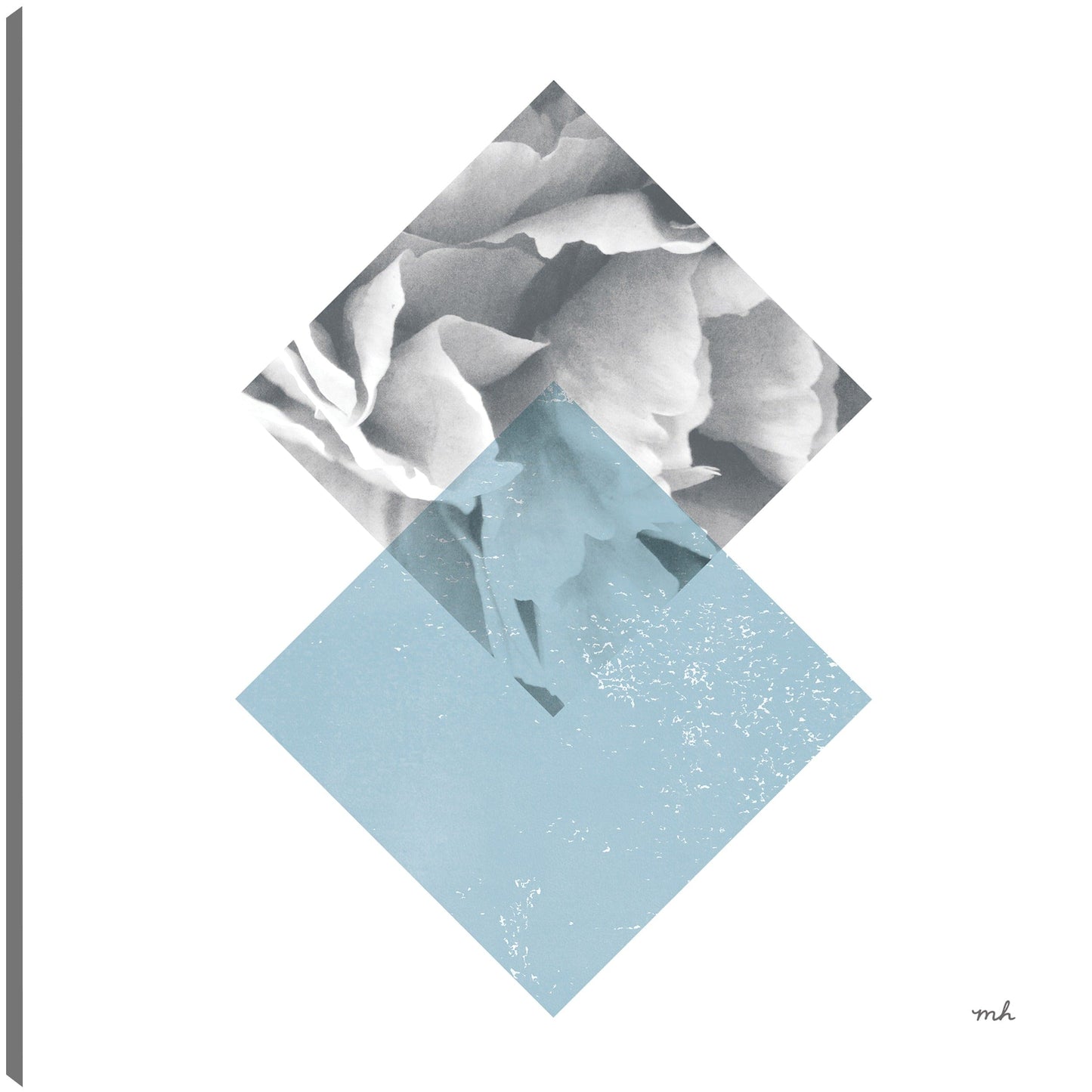 Flores III - Moira Hershey