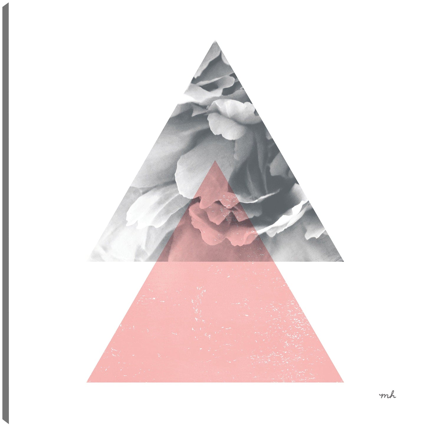 Flores II - Moira Hershey