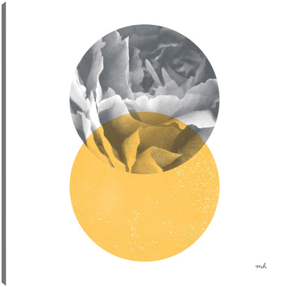 Flores I - Moira Hershey