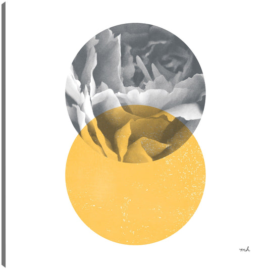 Flores I - Moira Hershey