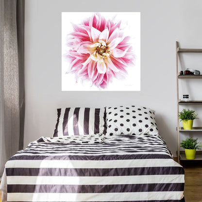 Dahlia Rosa - Elise Catterall