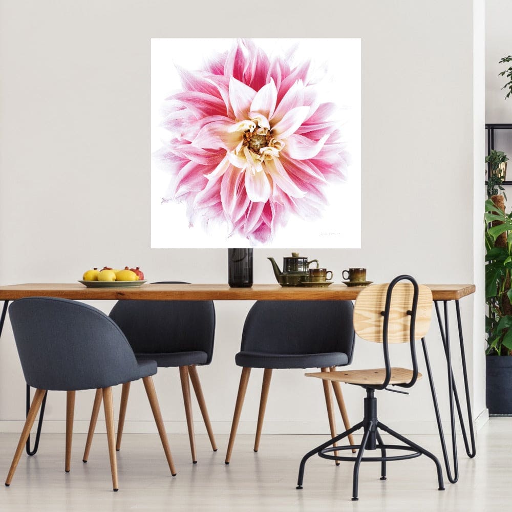 Dahlia Rosa - Elise Catterall