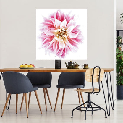 Dahlia Rosa - Elise Catterall