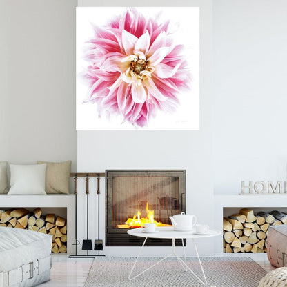 Dahlia Rosa - Elise Catterall