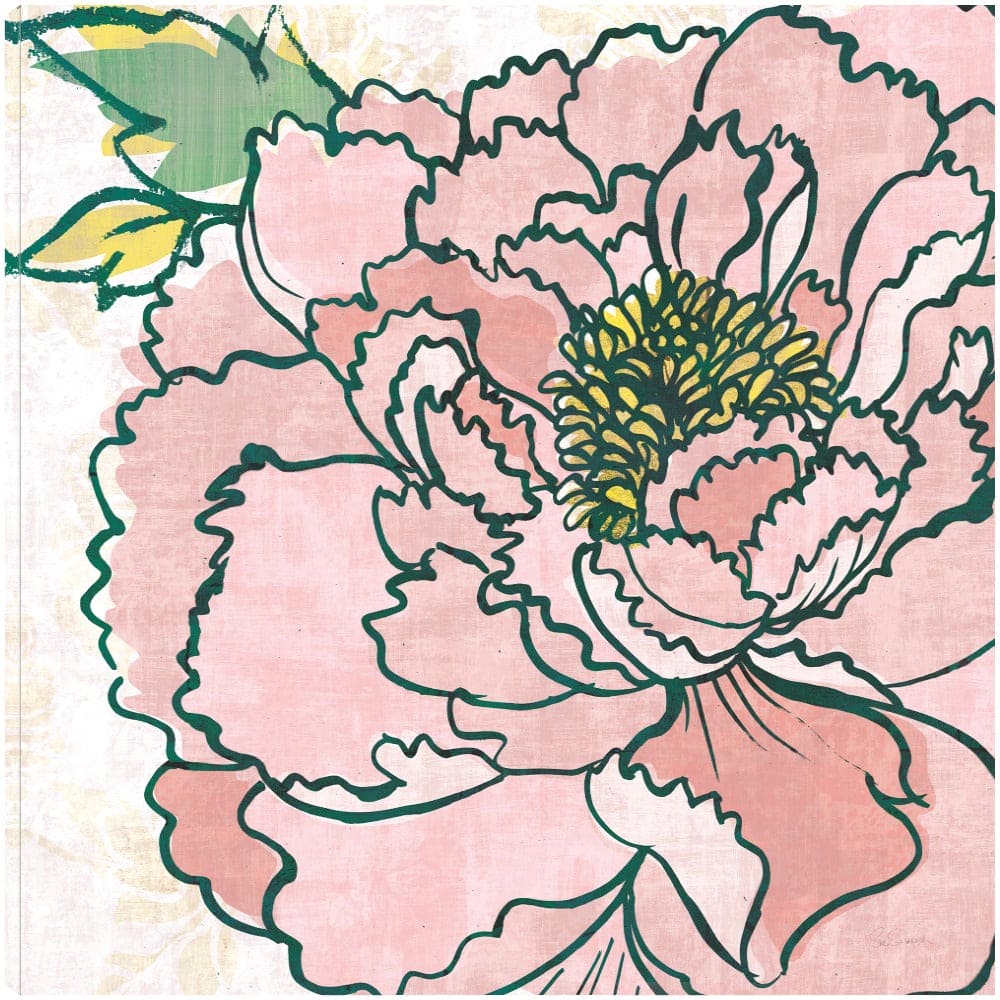 Peaonias Camiles Rosa - Sue Schlabach