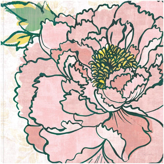 Peaonias Camiles Rosa - Sue Schlabach