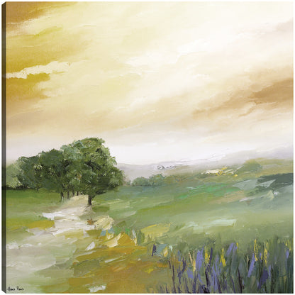 Luz del cielo de la tarde - Hans Paus