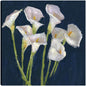 Callas en azul - Studio Arts