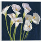 Callas en azul - Studio Arts