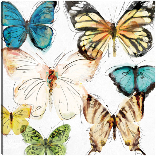 Les Papillons II - Studio Arts