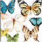Les Papillons II - Studio Arts