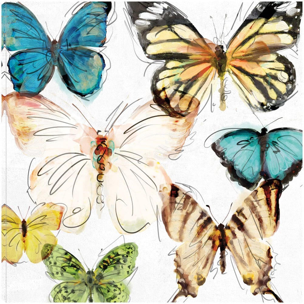 Mariposas II - Studio Arts