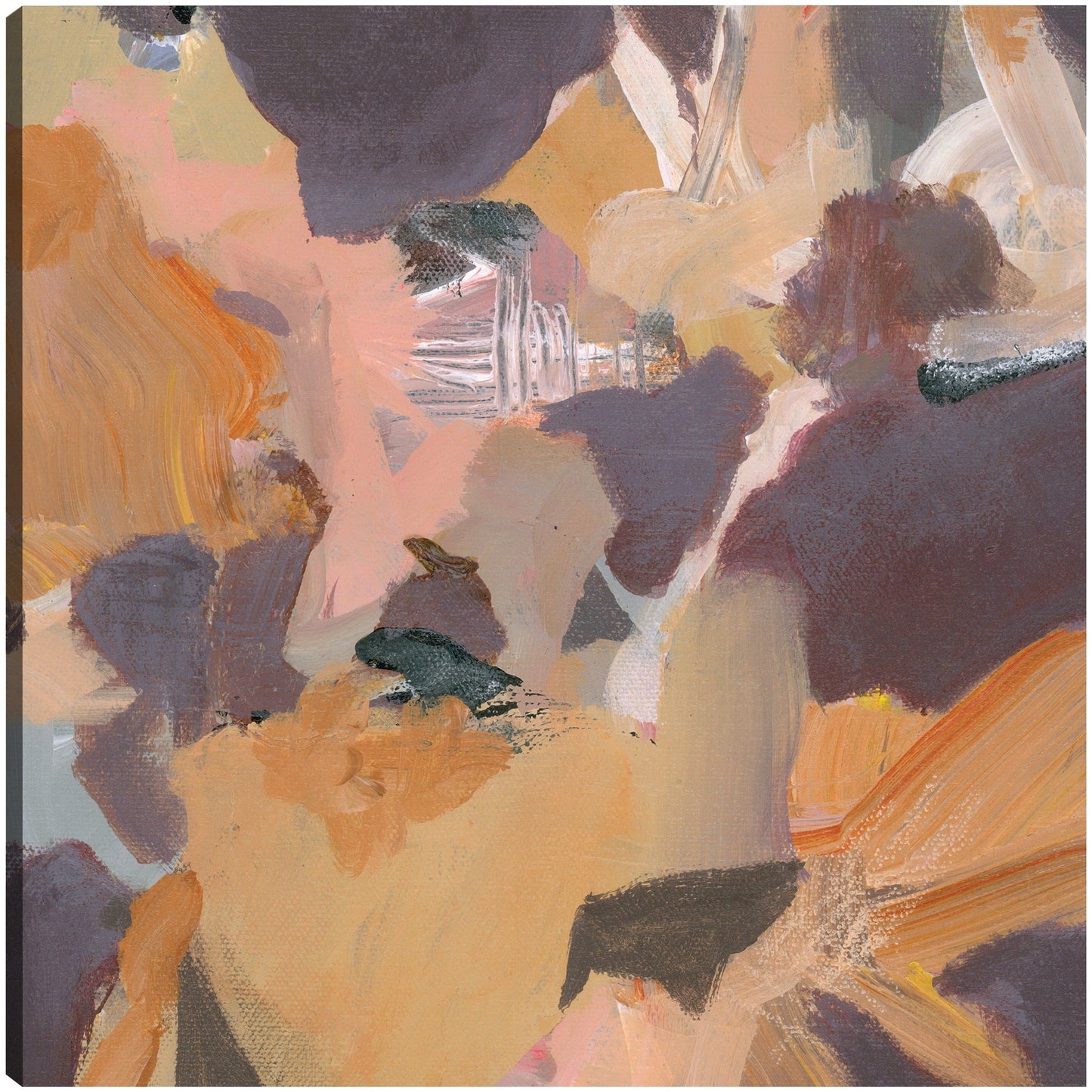 Malva II - Terri Burris