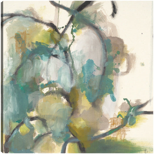 Vides tropicales - Terri Burris