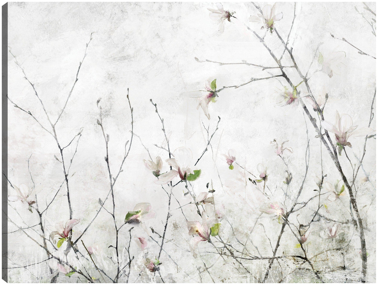 Momento de magnolia - Studio Arts
