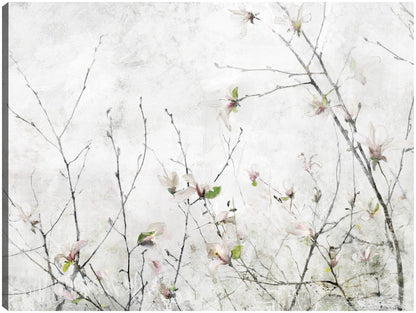 Momento de magnolia - Studio Arts
