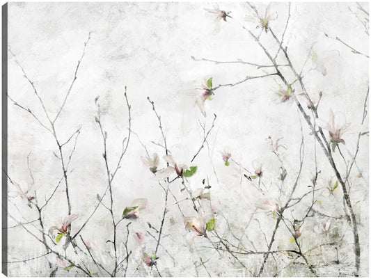 Momento de magnolia - Studio Arts