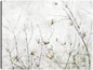 Momento de magnolia - Studio Arts
