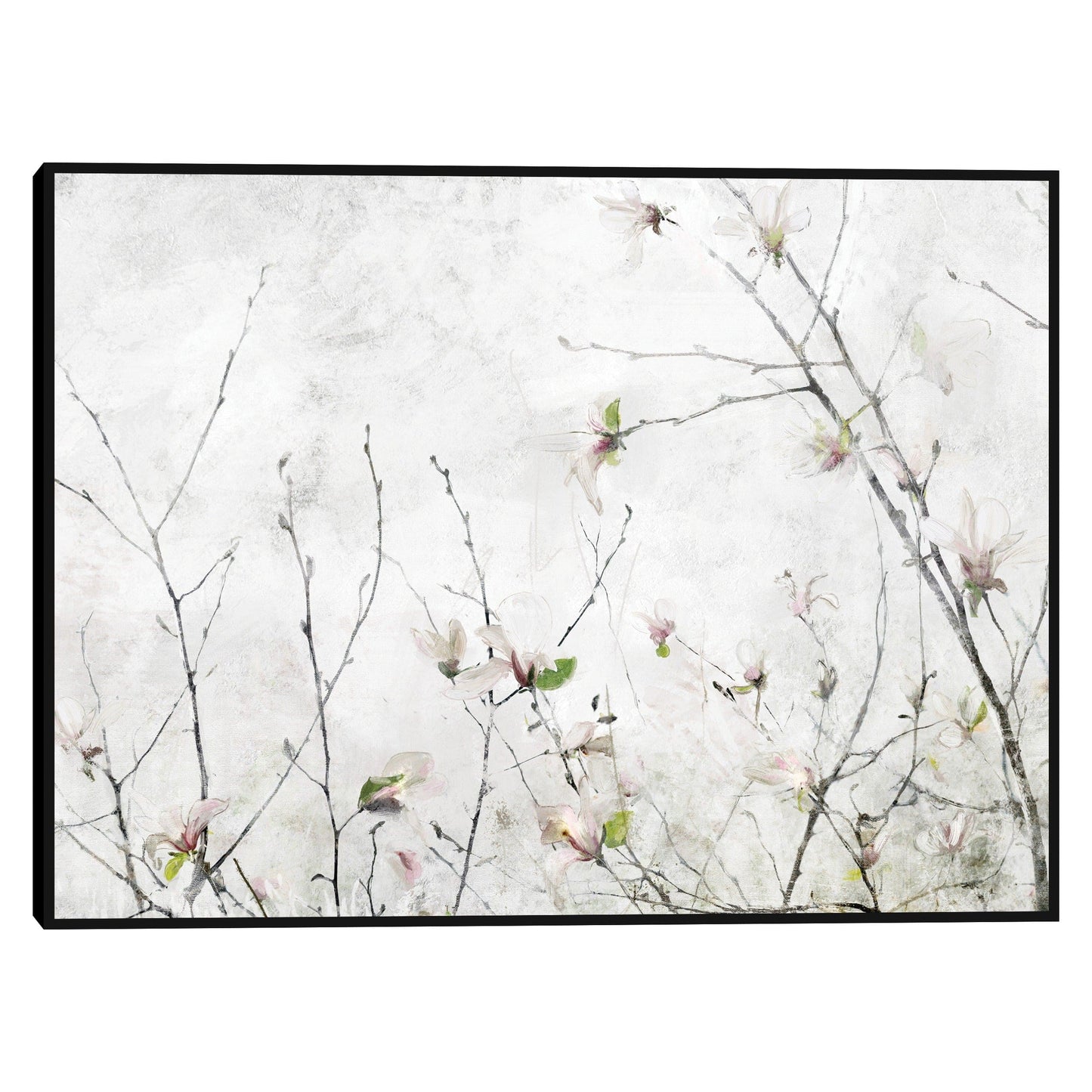 Momento de magnolia - Studio Arts