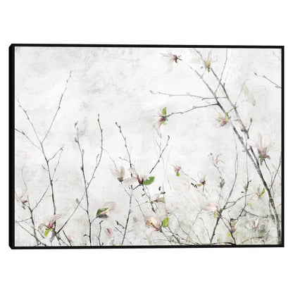 Momento de magnolia - Studio Arts