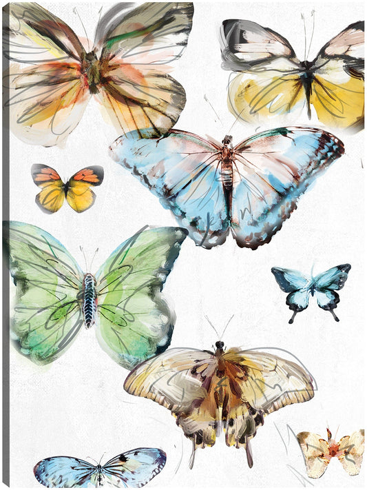Mariposas I - Studio Arts