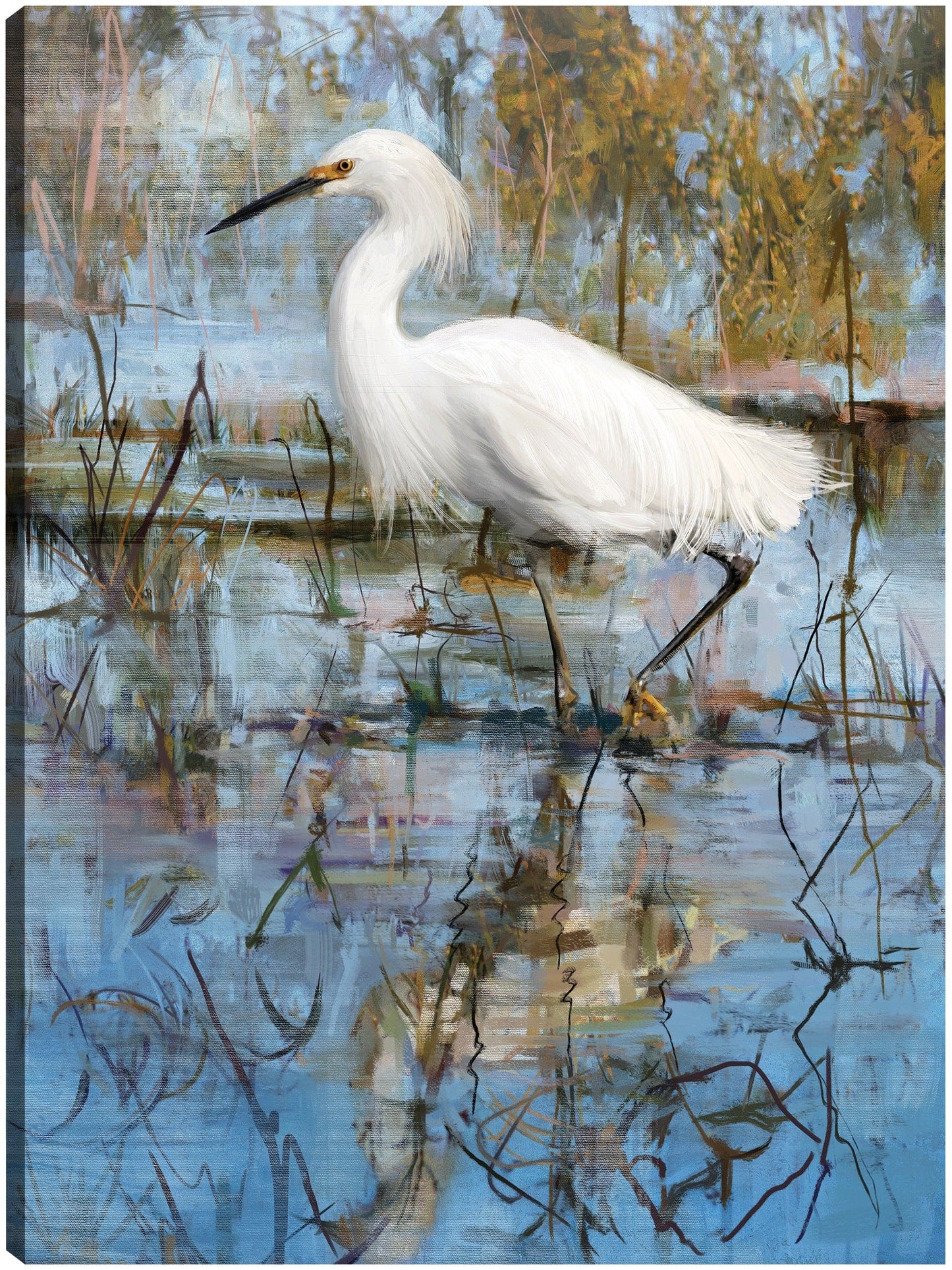 Garceta blanca - Studio Arts