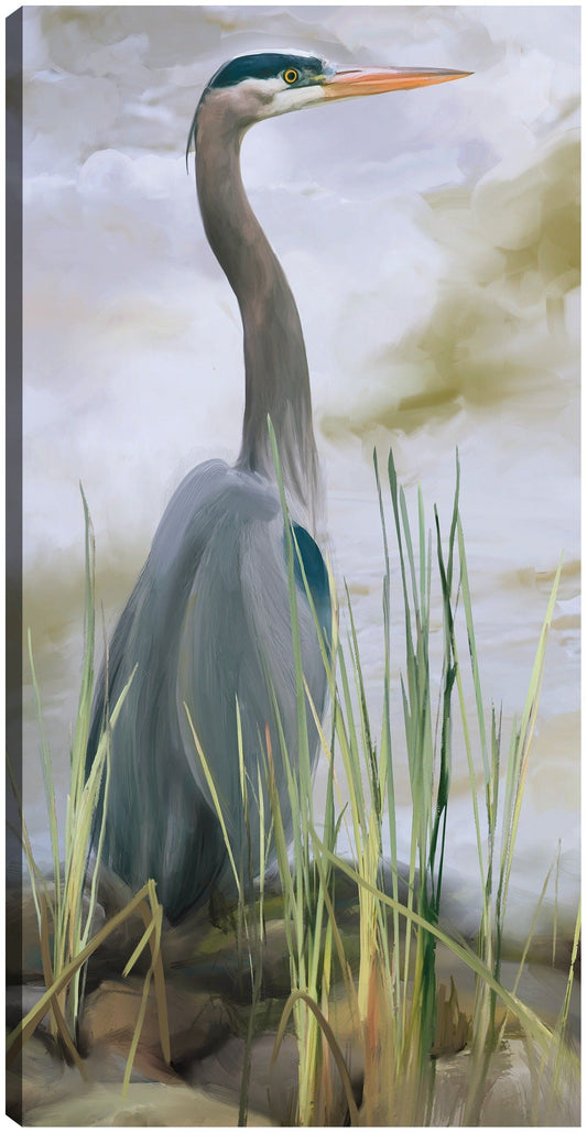 Garza azul - Studio Arts
