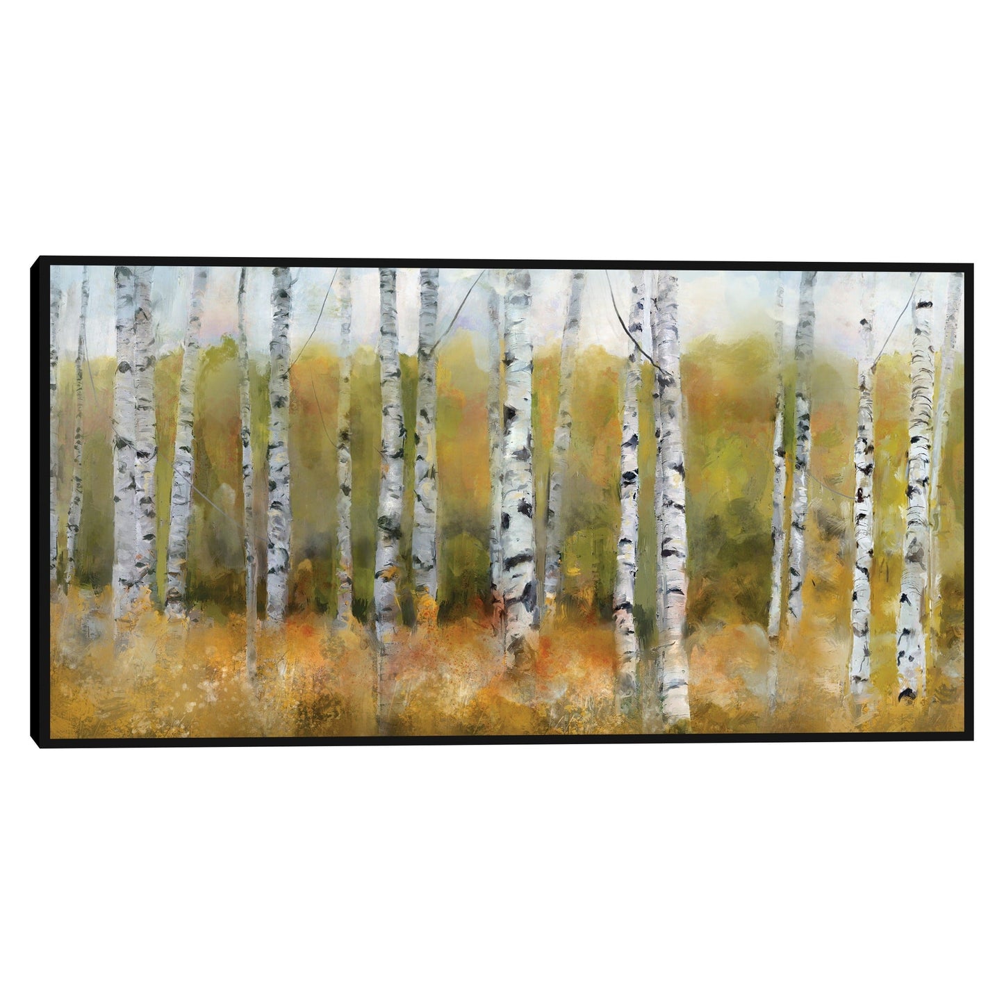 Álamos tembloses de otoño - Studio Arts