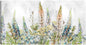 Sueños salvajes - Studio Arts