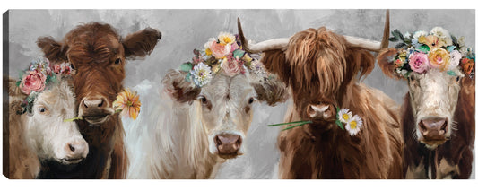 Revisión de Moo - Studio Arts