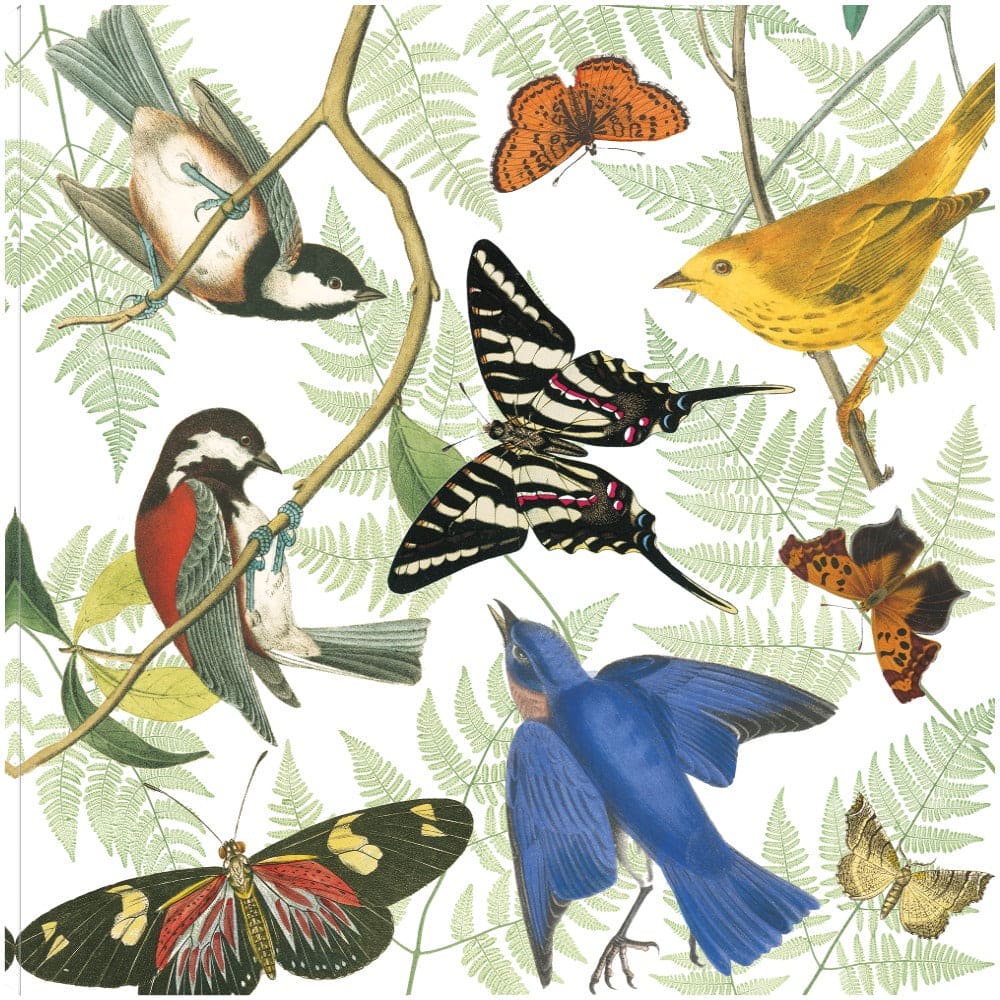 Vuelo de Naturaleza II