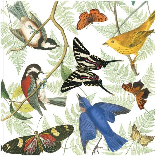 Vuelo de Naturaleza II