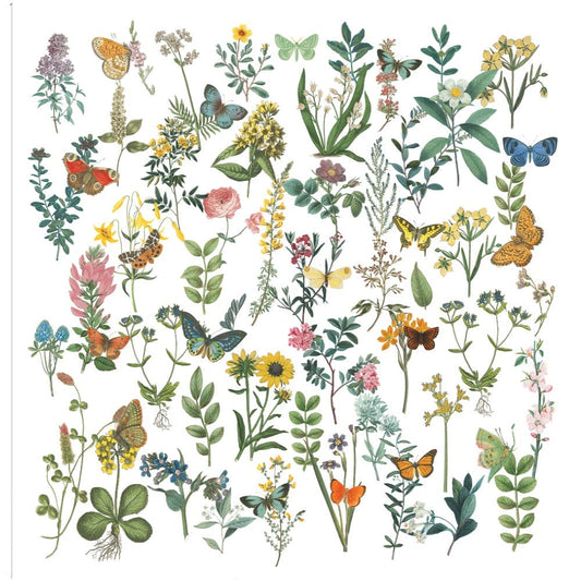 Flores y mariposas