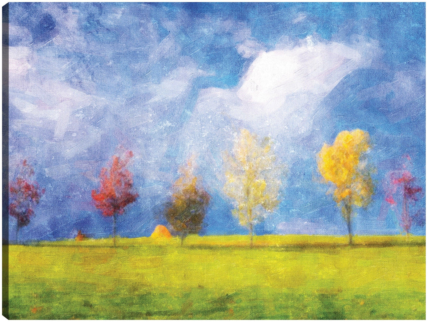Cielo azul claro colores de otoño - DP Gallery
