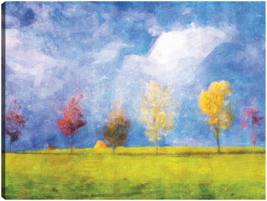 Cielo azul claro colores de otoño - DP Gallery