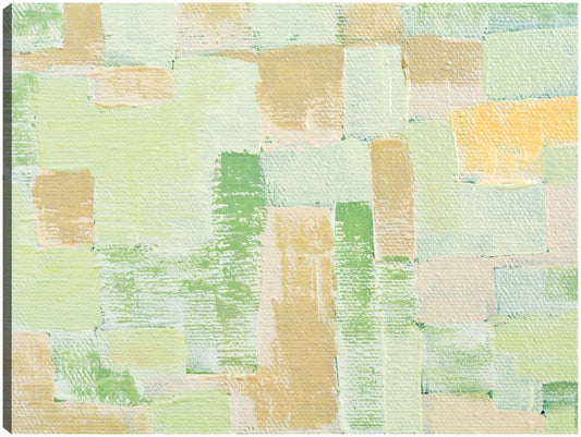 Desierto de salvia de arena blanca - DP Gallery