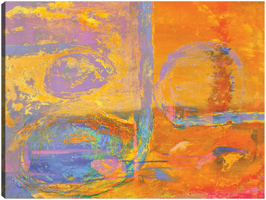 Puesta de sol y vides de uva - DP Gallery