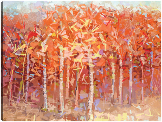 Bosque de otoño de colores juguetones - DP Gallery